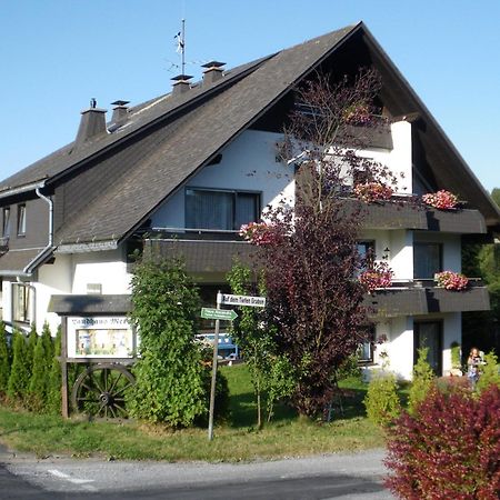 Ferienwohnungen Landhaus Meran Inkl Meinecardplus Willingen (Upland) Exterior foto