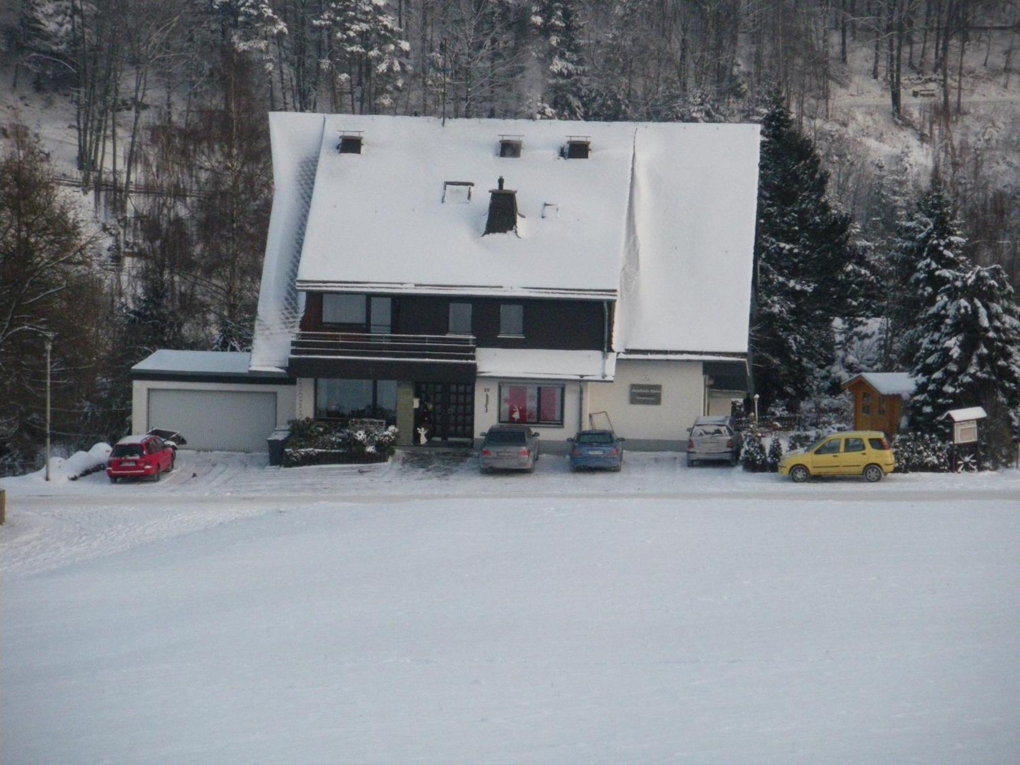 Ferienwohnungen Landhaus Meran Inkl Meinecardplus Willingen (Upland) Exterior foto